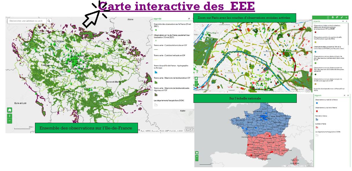 Travail de licence sur les EEE à Paris